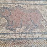 Osmaniye'de Roma dönemine ait mozaikler ortaya çıkarıldı