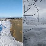 Arjantin'de deniz dondu, dalgalar buza dönüştü