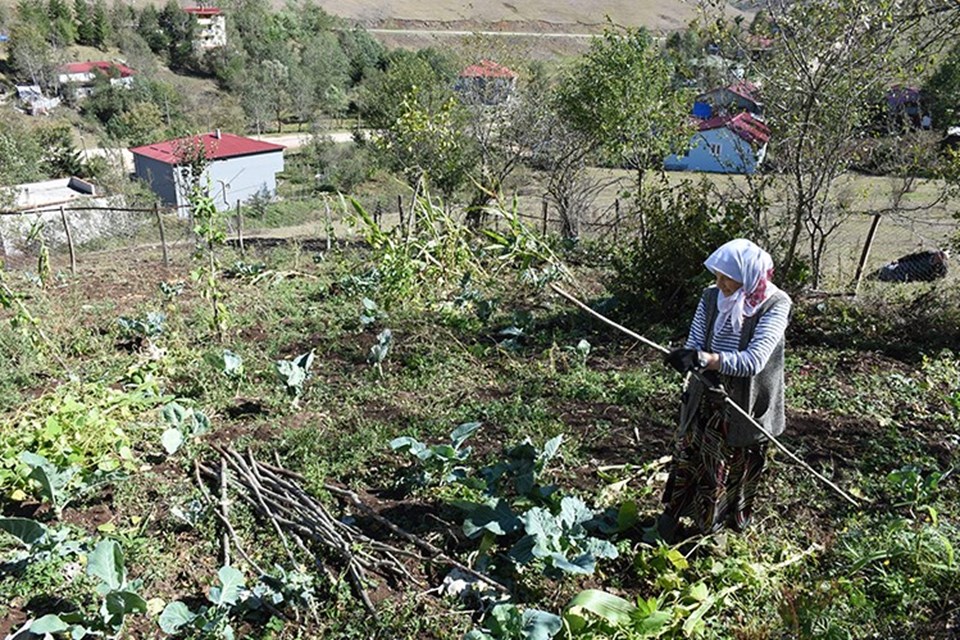 Eğriçimen ve Perşembe yaylaları her mevsim ziyaretçi çekiyor - 4