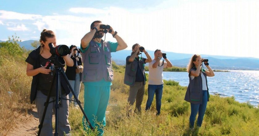 İzmit Körfezi'nde flamingo popülasyonu arttı