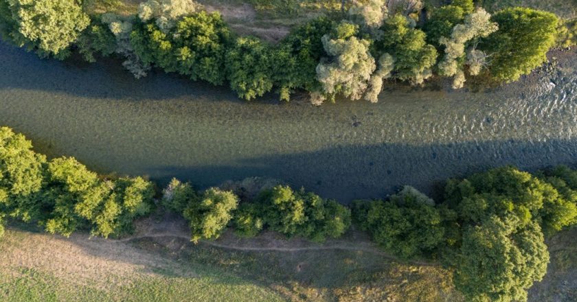 Munzur Çayı 3 tür balık için üreme ve yaşam alanı sağlıyor