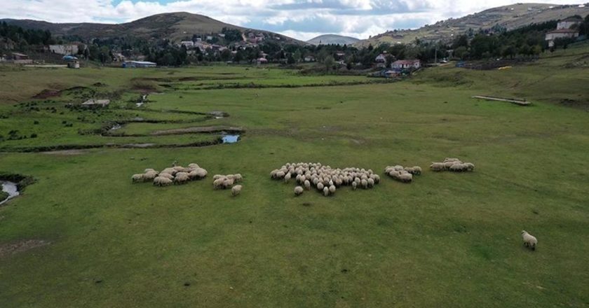 Eğriçimen ve Perşembe yaylaları her mevsim ziyaretçi çekiyor