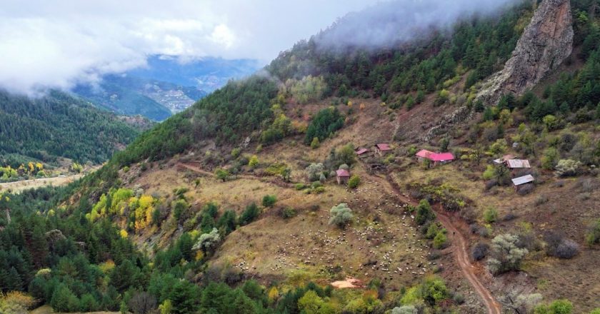 Zigana Dağı sonbahar renklerine büründü