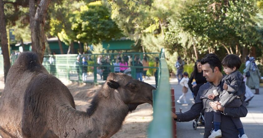 Gaziantep Doğal Yaşam Parkı’na 4,2 milyon ziyaretçi