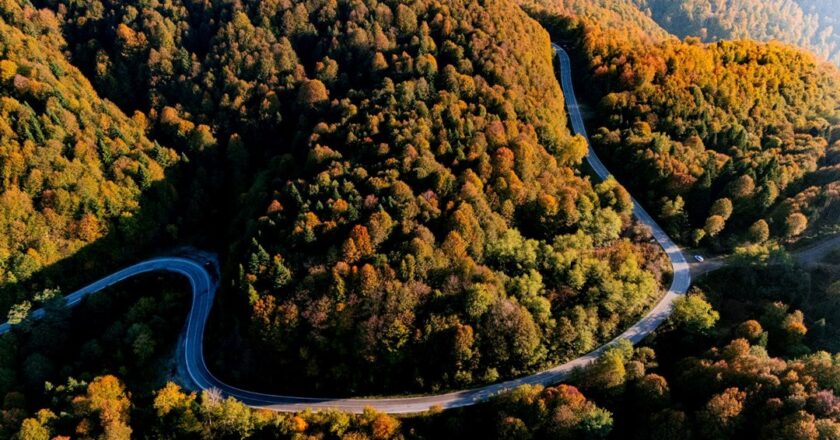 Sonbahar mevsiminin renkleri Pine Mountain’a hakim oldu