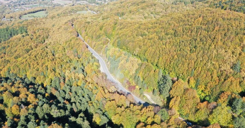 Gölcük Tabiat Parkı sonbahar renklerine büründü | N-Hayat