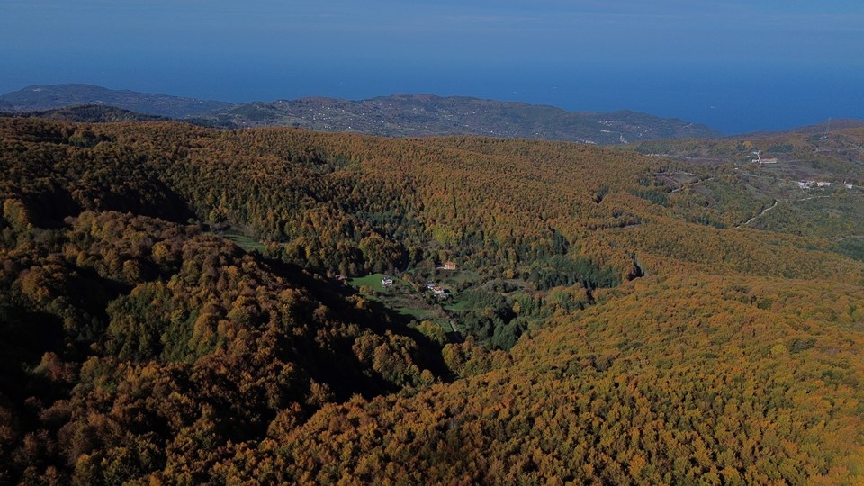 Kastamonu ormanlarında sonbahar güzelliği - 2