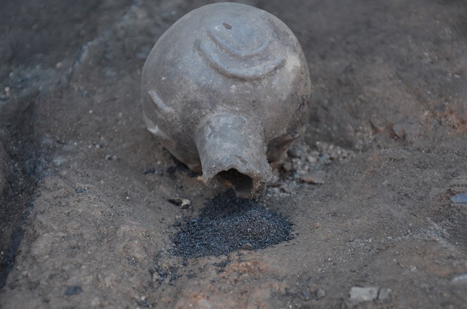 Seyitömer höyüğünde haşhaş ve nohut tohumları bulundu - 2