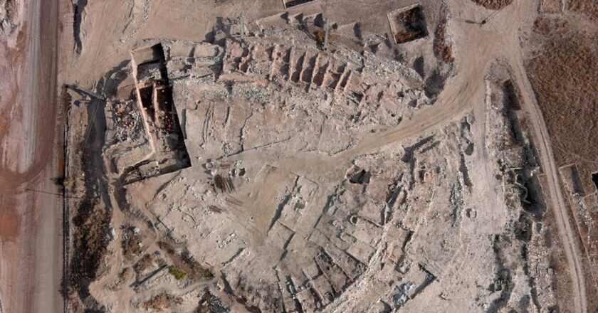 Seyitömer höyüğünde haşhaş ve nohut tohumları bulundu