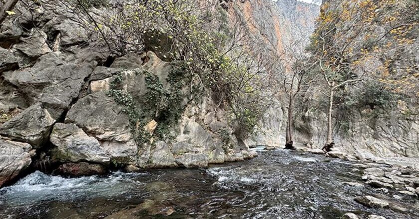 Ziyaretçiler Saklıkent Kanyonu’na akın ediyor | N-Hayat