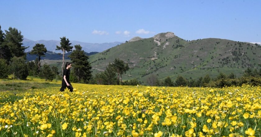 Limni Gölü’nde turizm sezonu açıldı | N-Life