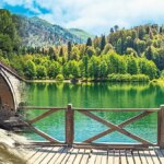 Oy Trabzon Trabzon – Turizm Haberleri