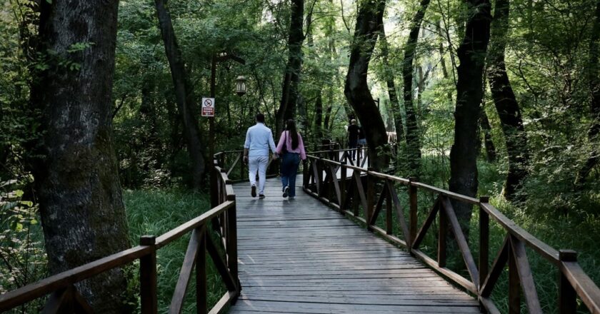 Çakırlar Korusu’ne ziyaretçiler akın ediyor