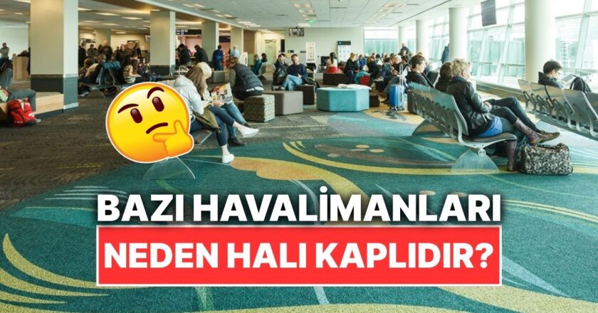 Bazı Havalimanlarının Zemini Neden Halı Kaplı?