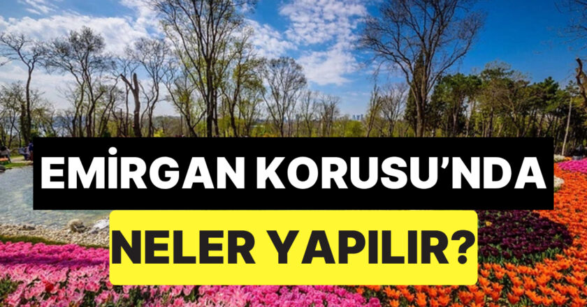 Emirgan Korusu Hakkında Bilgiler! – Onedio