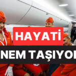 Hayati Önem Taşıyor: Uçuş Görevlisi, Yolculuk Öncesi Yolculara Neden Selam Verildiğini Açıkladı