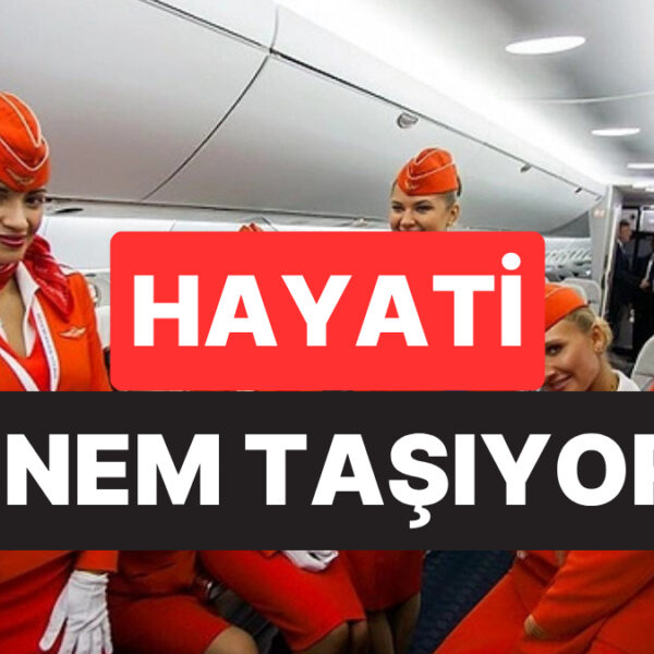 Hayati Önem Taşıyor: Uçuş Görevlisi, Yolculuk Öncesi Yolculara Neden Selam Verildiğini Açıkladı