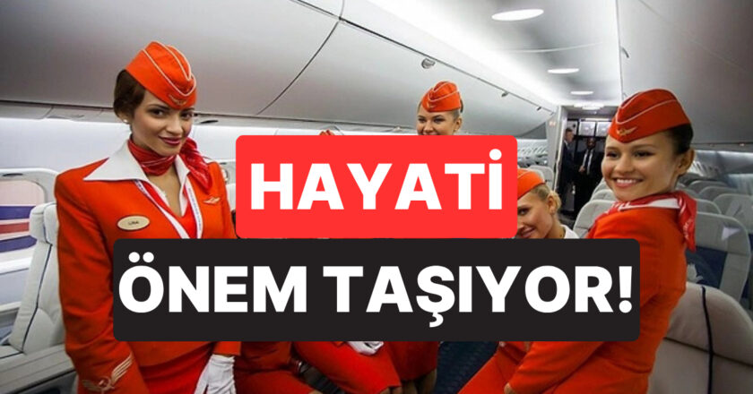 Hayati Önem Taşıyor: Uçuş Görevlisi, Yolculuk Öncesi Yolculara Neden Selam Verildiğini Açıkladı