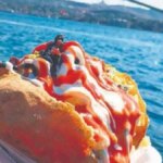 İstanbul’un ikonik sokak lezzetleri – Turizm Haberleri
