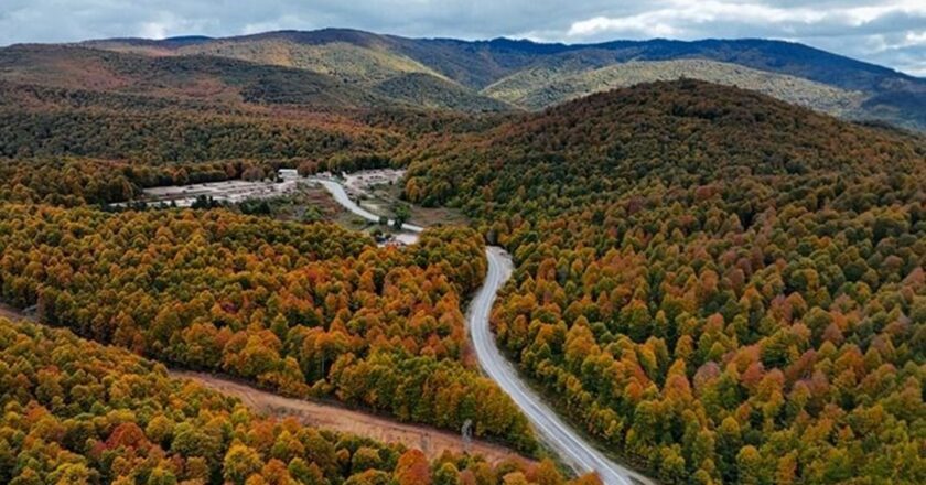 Domaniç Dağları’nda sonbahar güzelliği: Doğaseverleri büyülüyor