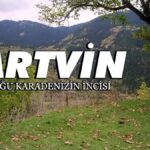 Doğanın kalbine gizlenmiş sır: Artvin
