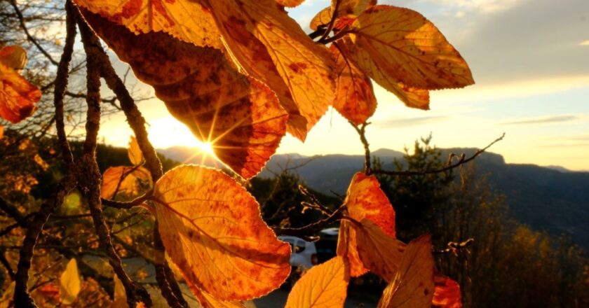 Gümüşhane’de Alpleri aratmayan güzellik: Zirveler kış, vadiler sonbahar