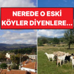 Orda Bir Köy Var Uzakta: İzmir’in Eşi Benzeri Olmayan Köyü Sizi Bekliyor