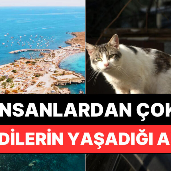 İnsanlardan Çok Kedilerin Yaşadığı İspanya Adası Neresi?