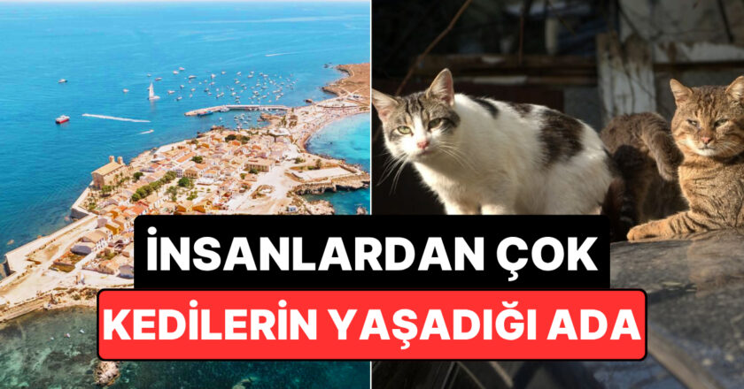 İnsanlardan Çok Kedilerin Yaşadığı İspanya Adası Neresi?