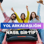 Sen Hangi Yol Arkadaşı Tipisin?