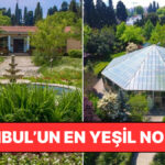 İstanbullular İçin Nefes Köşesi: Tıbbi Bitkiler Bahçesi