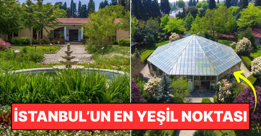 İstanbullular İçin Nefes Köşesi: Tıbbi Bitkiler Bahçesi