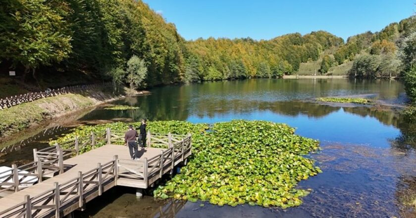 Ordu’daki Ulugöl Tabiat Parkı’na yoğun ilgi