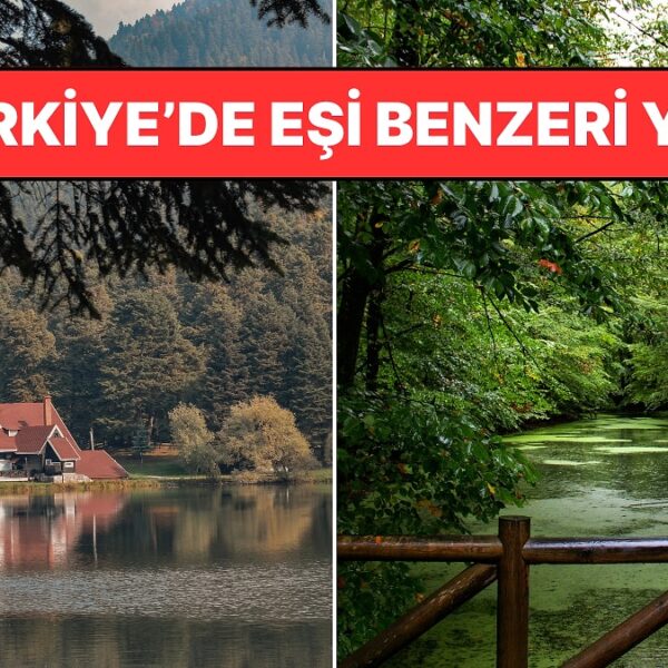 Bolu’nun Meşhur Lezzetleri: Yeşillikler Şehri Ne Sunuyor?