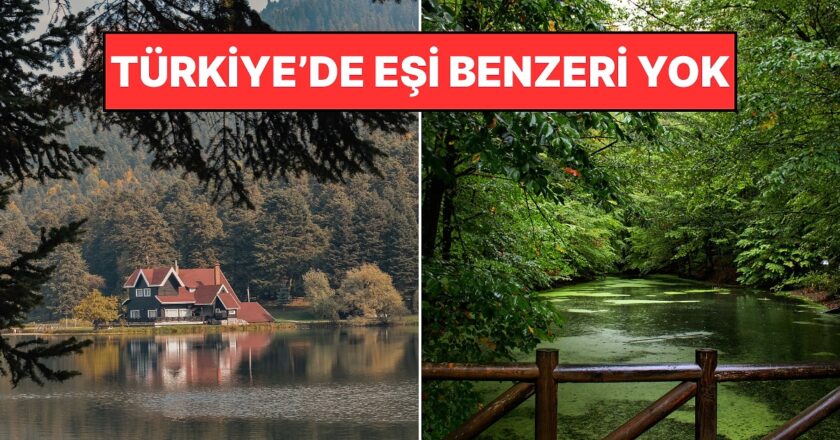 Bolu’nun Meşhur Lezzetleri: Yeşillikler Şehri Ne Sunuyor?